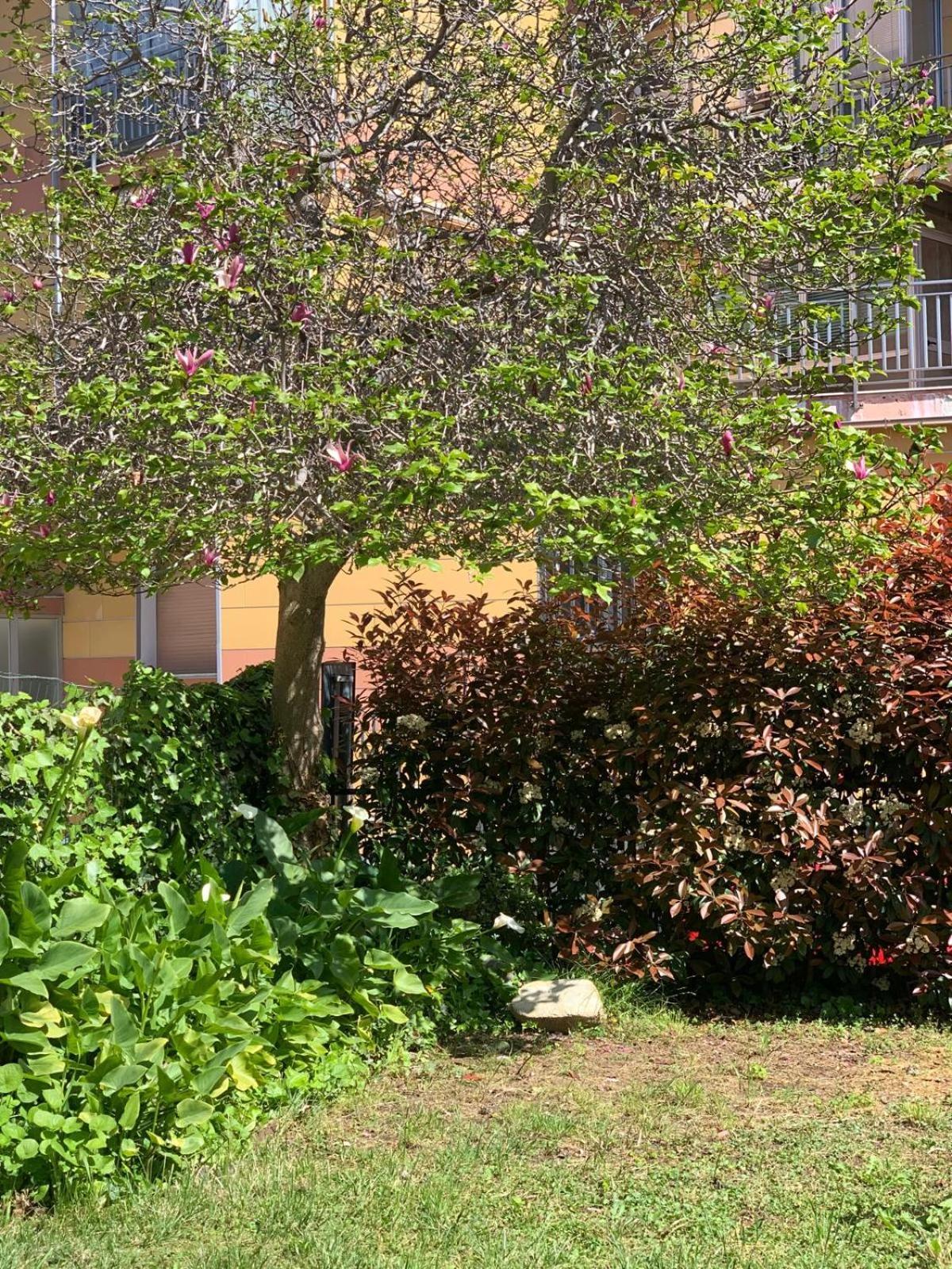 B&B La Magnolia Σαβόνα Εξωτερικό φωτογραφία